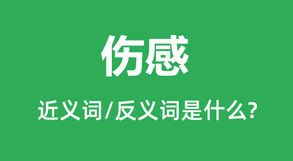 伤感的近义词和反义词是什么,伤感是什么意思