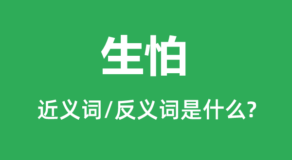 生怕的近义词和反义词是什么,生怕是什么意思