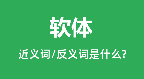 软体的近义词和反义词是什么,软体是什么意思