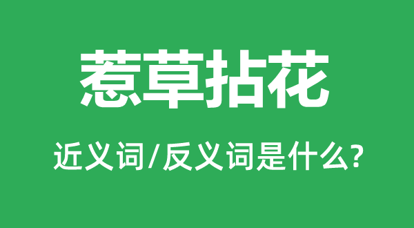 惹草拈花的近义词和反义词是什么,惹草拈花是什么意思