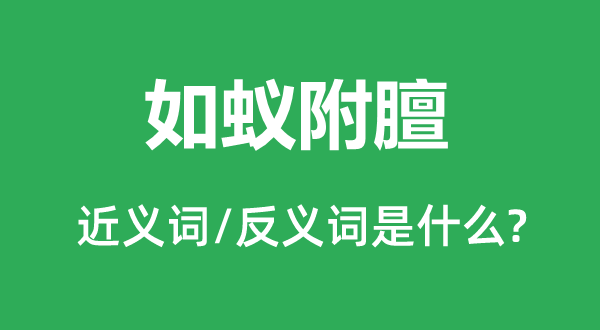 如蚁附膻的近义词和反义词是什么,如蚁附膻是什么意思