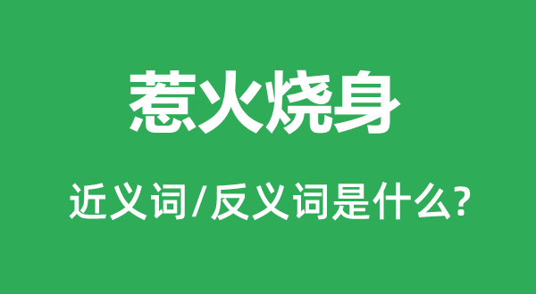 惹火烧身的近义词和反义词是什么,惹火烧身是什么意思