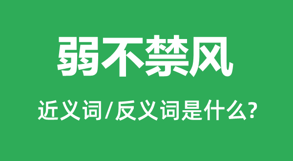 弱不禁风的近义词和反义词是什么,弱不禁风是什么意思