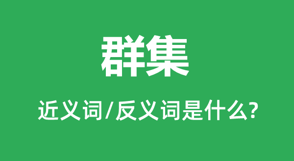 群集的近义词和反义词是什么,群集是什么意思