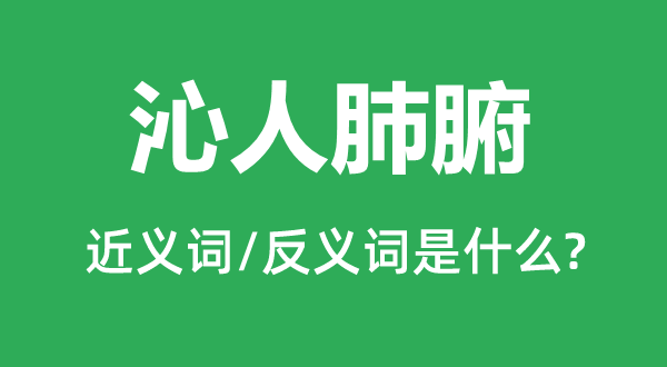 沁人肺腑的近义词和反义词是什么,沁人肺腑是什么意思